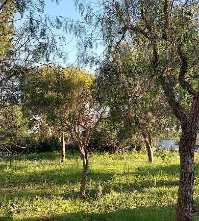 Raffaella Casa vacanze Lecce