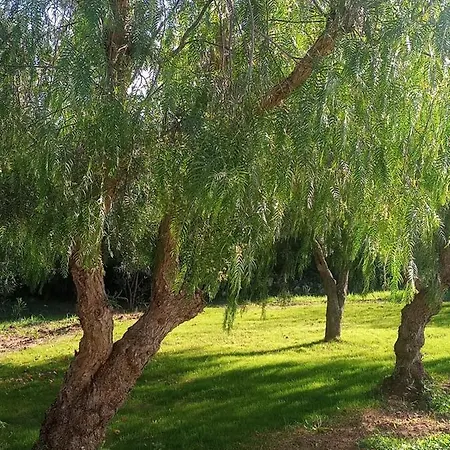 Casa vacanze Raffaella