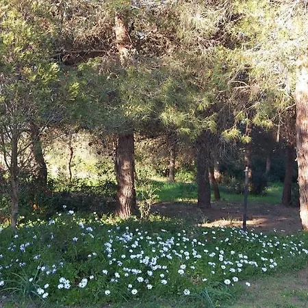 Holiday home Raffaella Lecce