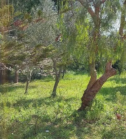 בית נופש Raffaella *